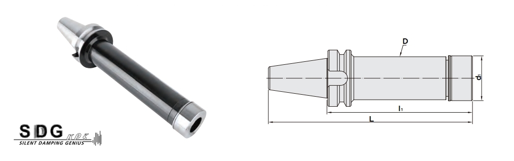 proimages/Products/Tool_holders/Silent_Damped_Holder/SPRO-SDG/RBT-SPRO-SDG_figure.jpg