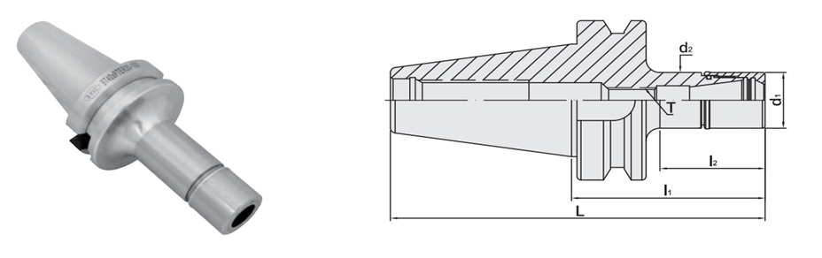 proimages/figure_for_specification/BT-PTER_figure.jpg proimages/figure_for_specification/BT-PTER_figure.jpg