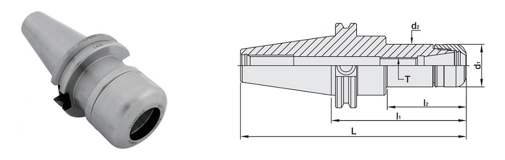 proimages/figure_for_specification/CAT-PNER_figure.jpg proimages/figure_for_specification/CAT-PNER_figure.jpg