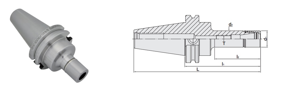 proimages/figure_for_specification/SCAT-PTER_figure.jpg proimages/figure_for_specification/SCAT-PTER_figure.jpg