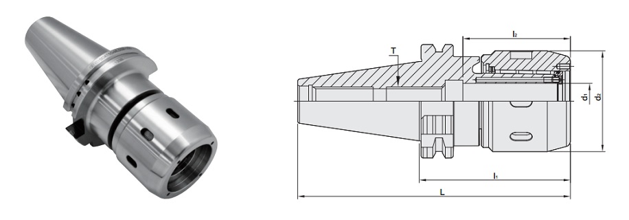 proimages/figure_for_specification/SDAT-MLD_figure.jpg